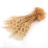 [Kama Dreads] new style dreadlocks cheveux humains goddess loc extensions human hair dread lock extension