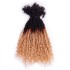 Ombre   Culture locs Human hair bulk hair curly texture Kama hair dreadlocks