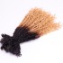 Ombre   Culture locs Human hair bulk hair curly texture Kama hair dreadlocks