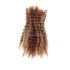 [KAMA Dreads] High quality bulk human hair afro kinky curly human braiding hair bulk no weft