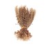 [KAMA Dreads] High quality bulk human hair afro kinky curly human braiding hair bulk no weft