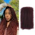 KAMA 4ctwist Afro Kinky Bulk Natural for Braiding Virgin Remy Human Hair Extensions for Dreadlock Braiding