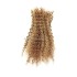 KAMA Vibrant Mix Color Blended Afro Kinky Bulk Hair for Natural-Looking Braiding and Extensions